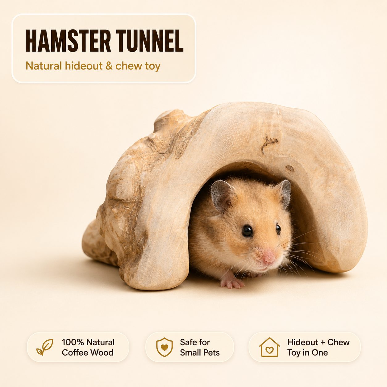 Hamster Tunnel